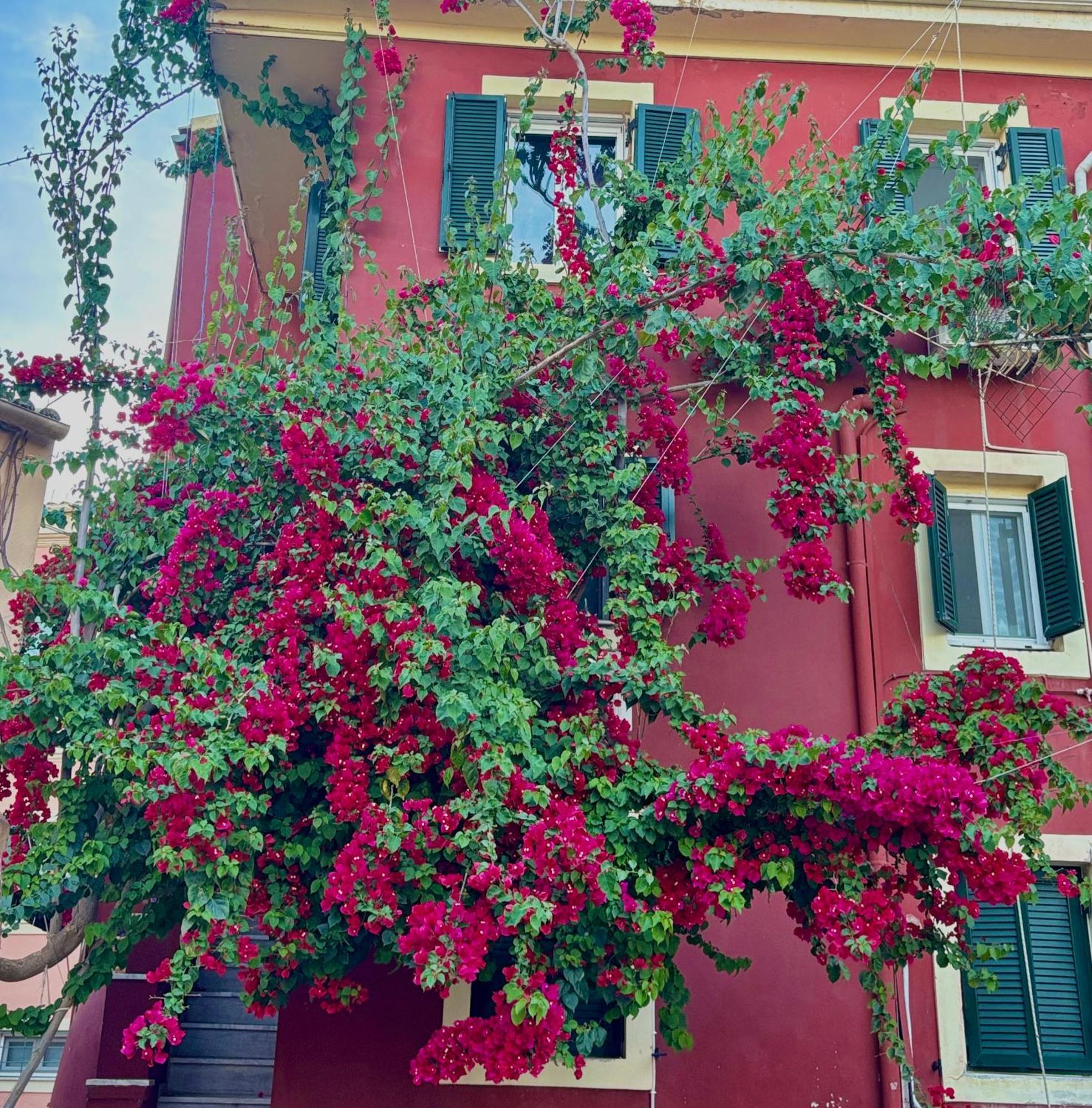Corfu Port Home Zewnętrze zdjęcie